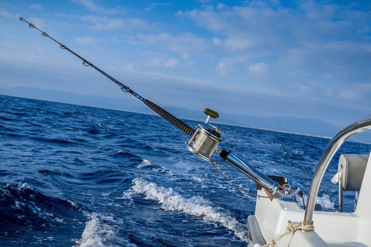 Heavy-Duty Base 360-graders justerbar stavhållare